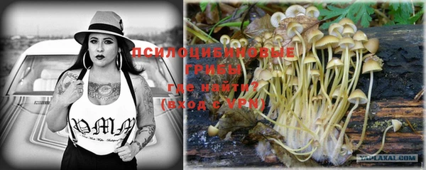 винт Нязепетровск