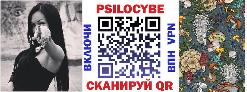 Купить закладки  Юрга  Псилоцибиновые грибы Psilocybe 
